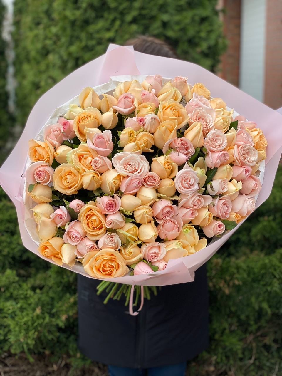 101 Rosen Peach Avalanche und Kimberly