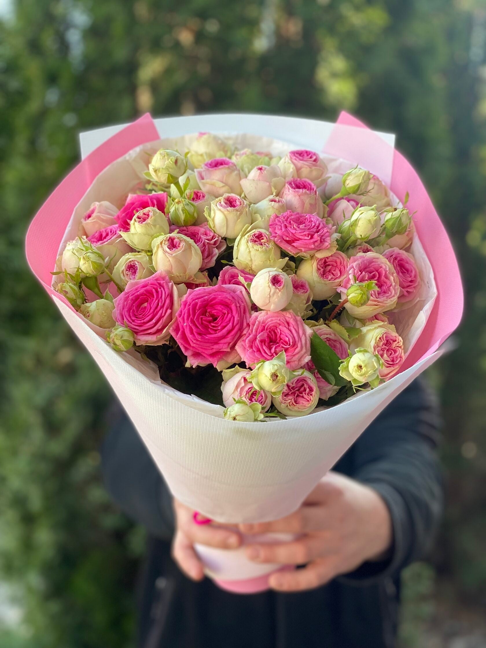 19 pfingstrosenartige Rosen Gelato