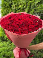 101 Rosen Red Eagle
