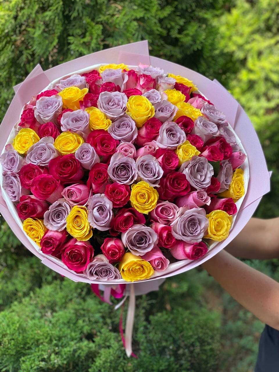 101 Rosen Holland-Mix