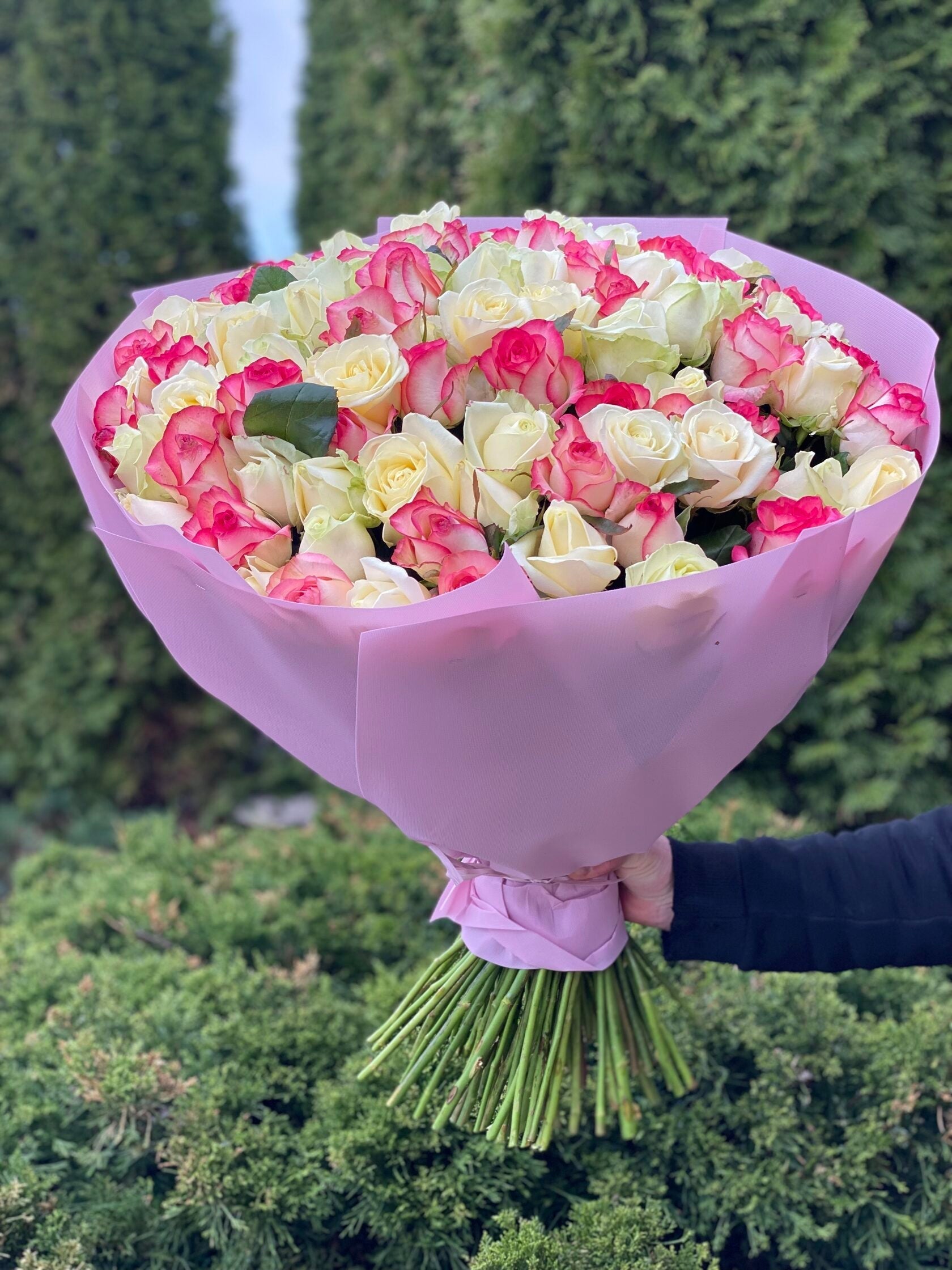 101 Rosen Jumilia und Avalanche