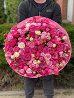 101 pfingstrosenartige Rosen Majestic und Gelato