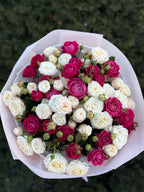 39 Rosen-Bombastic und Majestic