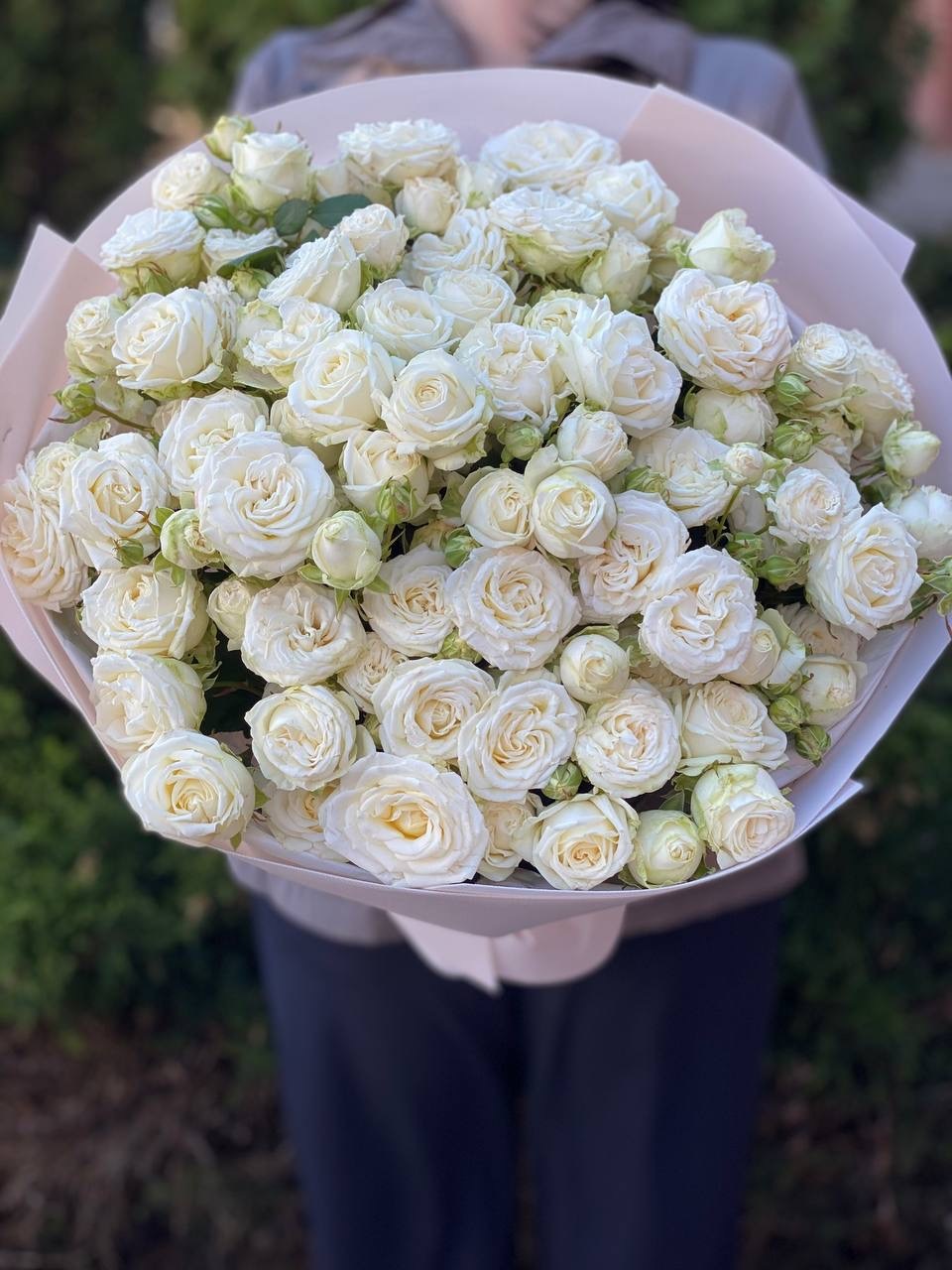 39 pfingstrosenartige Rosen Miss Bombastic