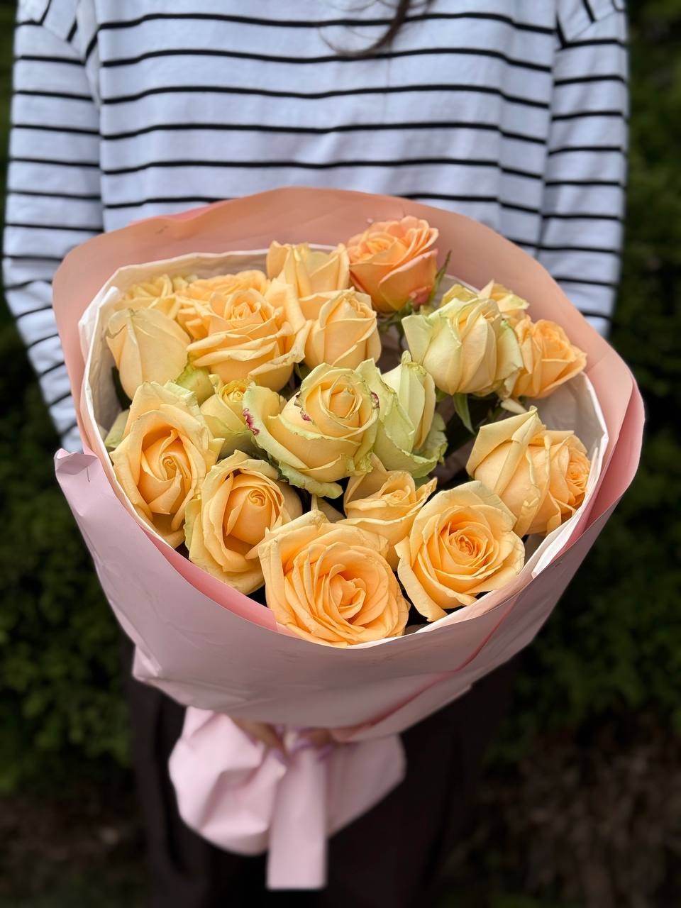 19 Rosen Peach Avalanche
