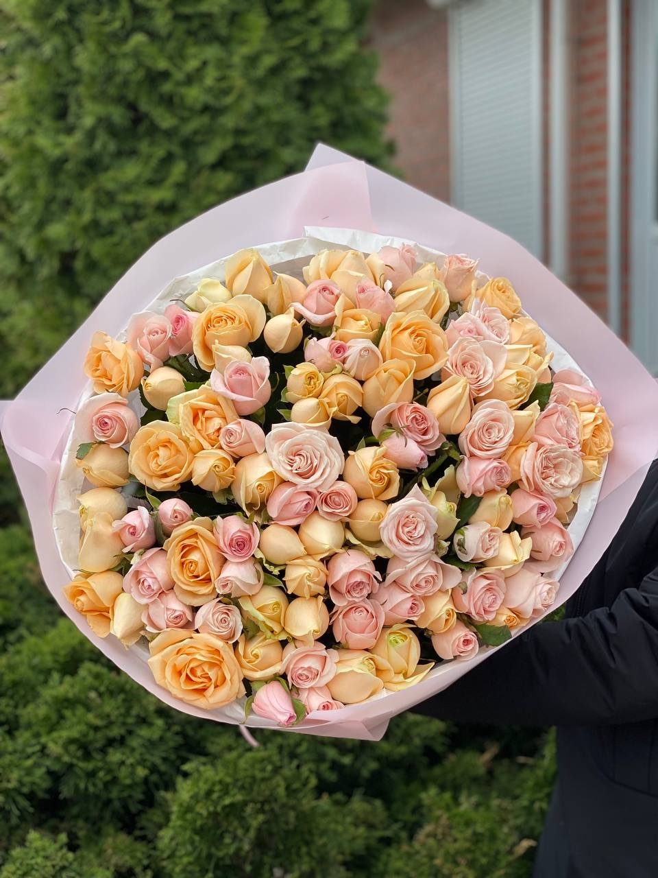 101 Rosen Peach Avalanche und Kimberly