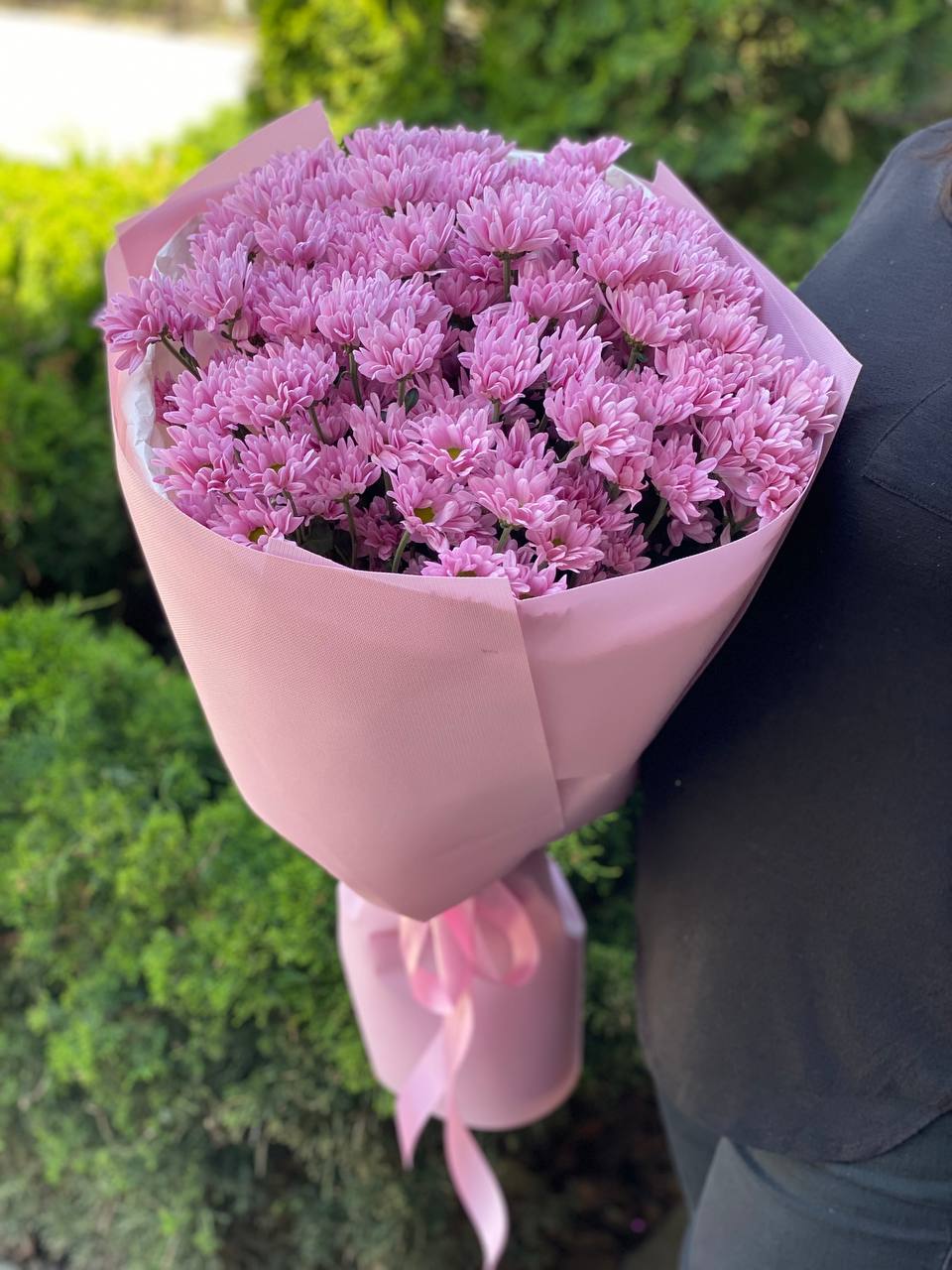 15 Margeriten-Chrysantheme (violett)