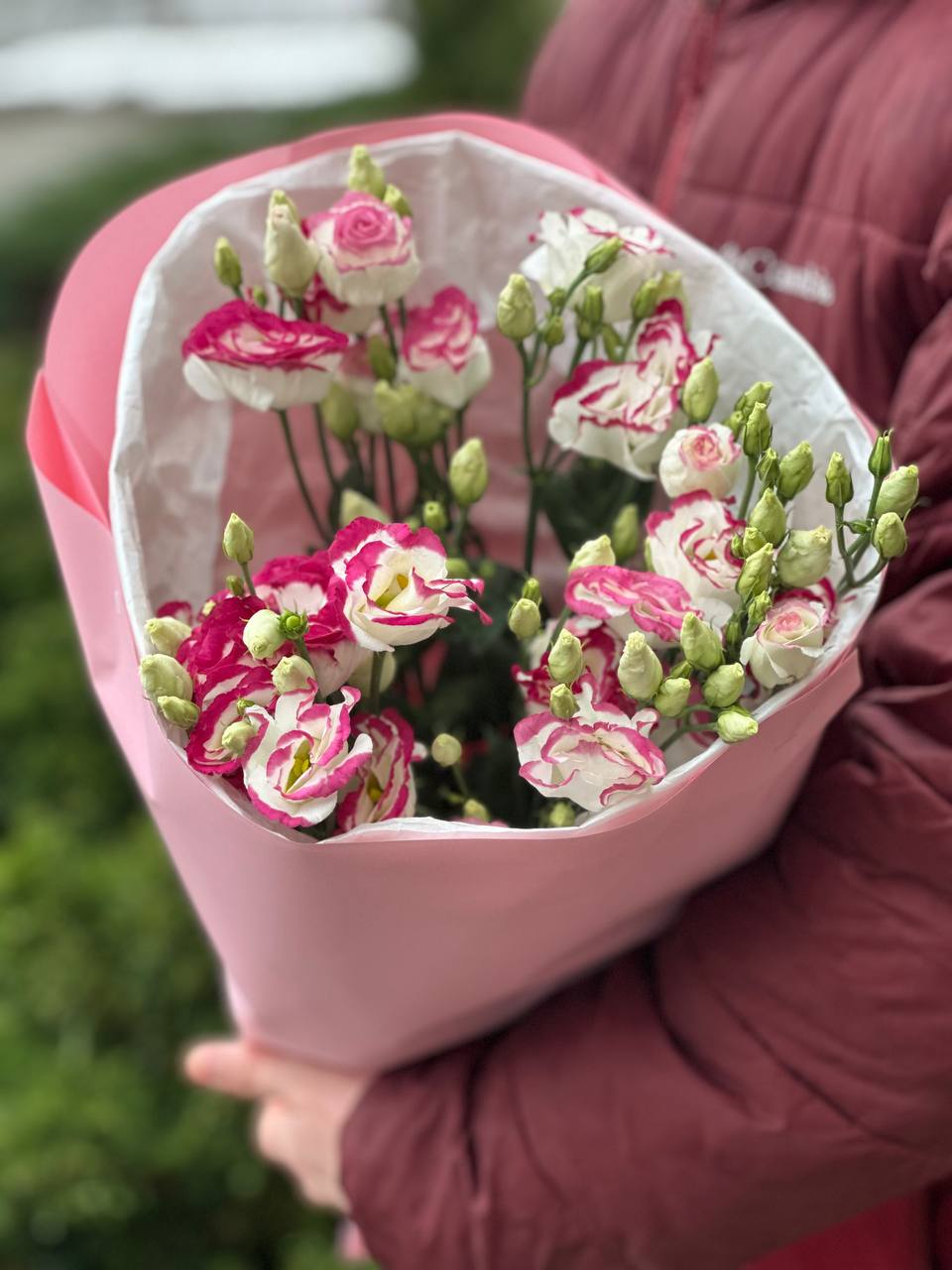 9 Stiele Eustoma weiß-rot (70 cm)
