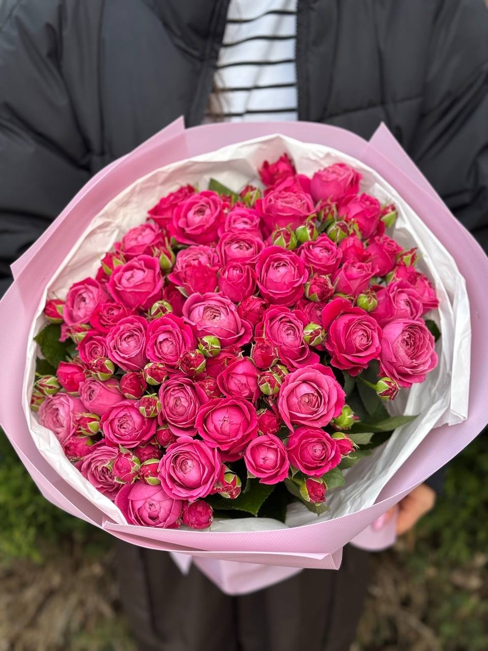 39 pfingstrosenartige Rosen Majestic