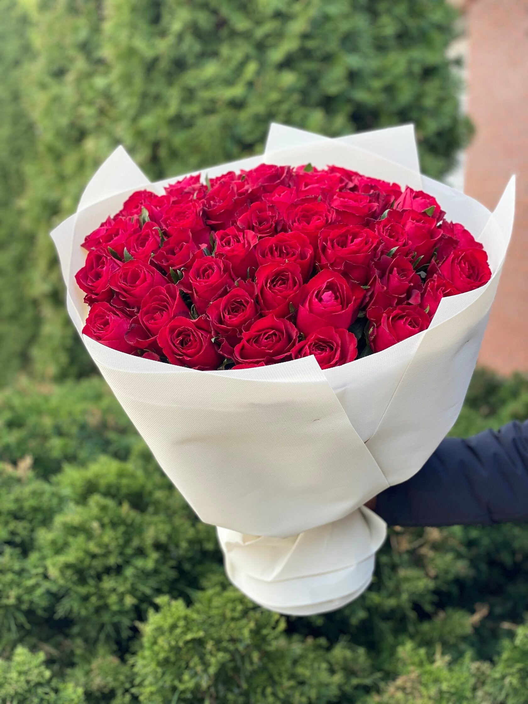 39 Rosen Red Naomi