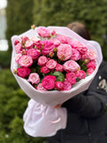 19 pfingstrosenartige Rosen Lady Bombastic“