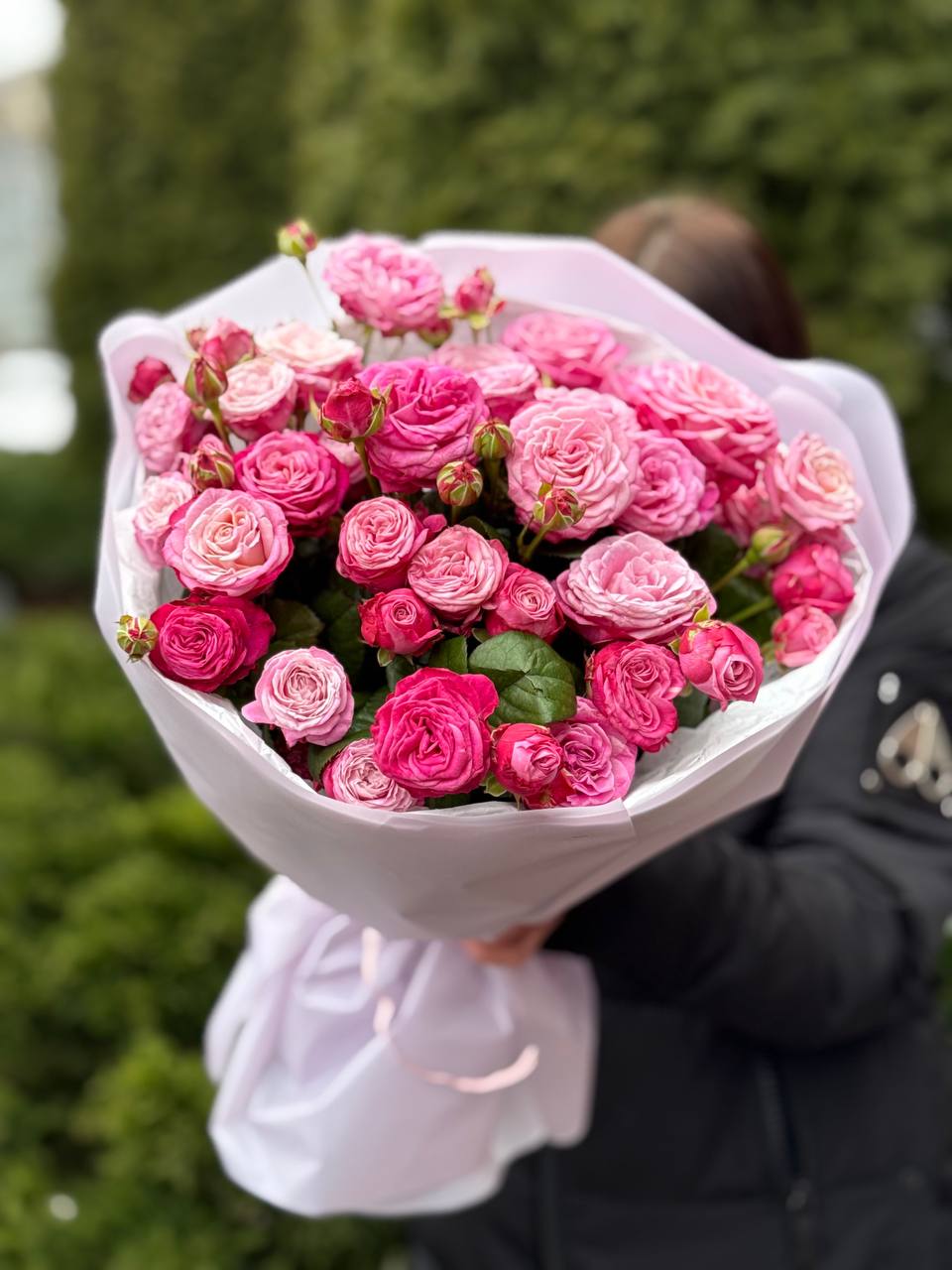 19 pfingstrosenartige Rosen Lady Bombastic“