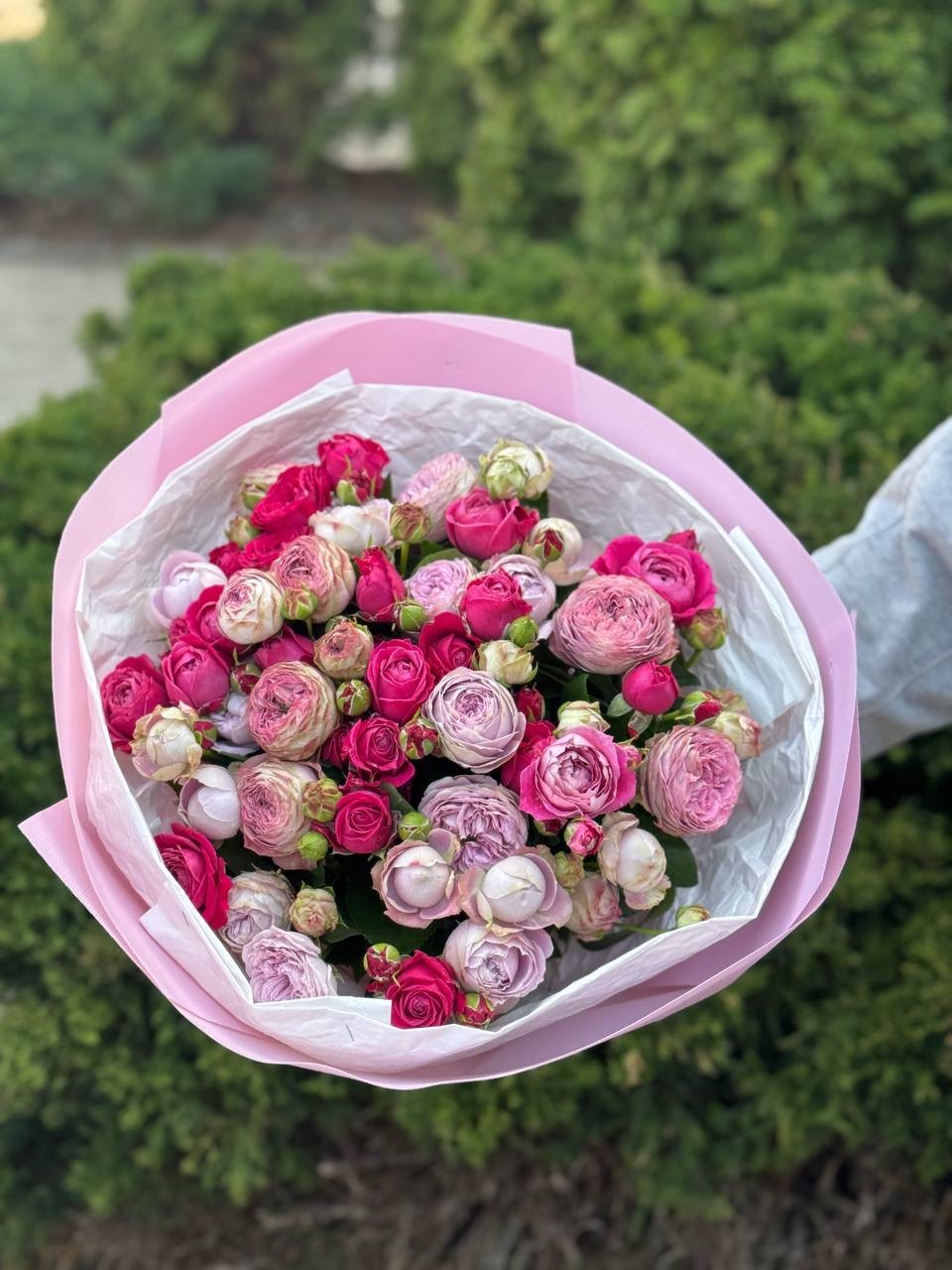 39 Rosen Lavender und Majestic