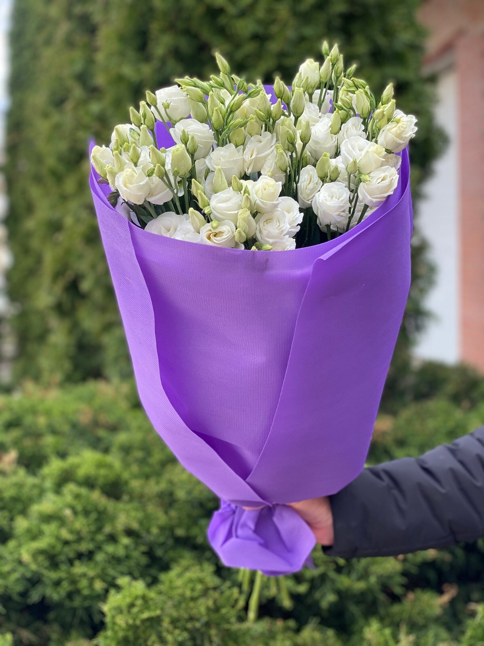 9 Stiele Eustoma weiß (70 cm)
