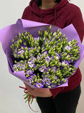 19 Stiele Eustoma (70 cm) violett