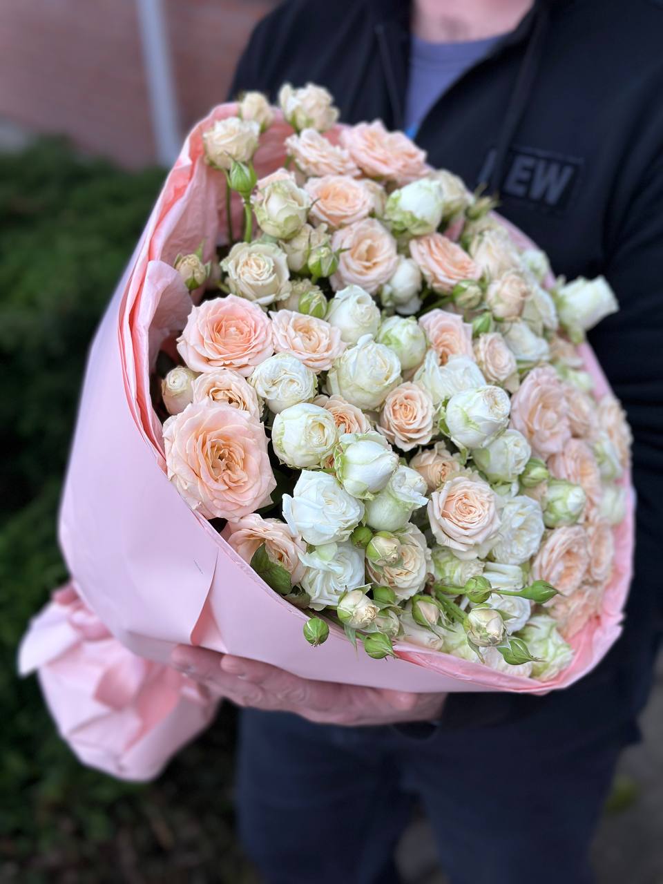 39 Rosen Miss Bombastic und Bombastic