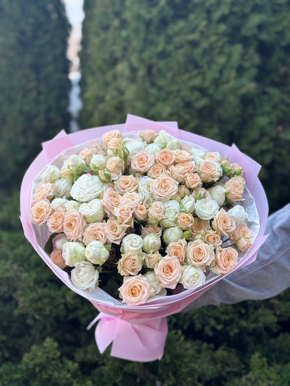39 Rosen Miss Bombastic und Tanya