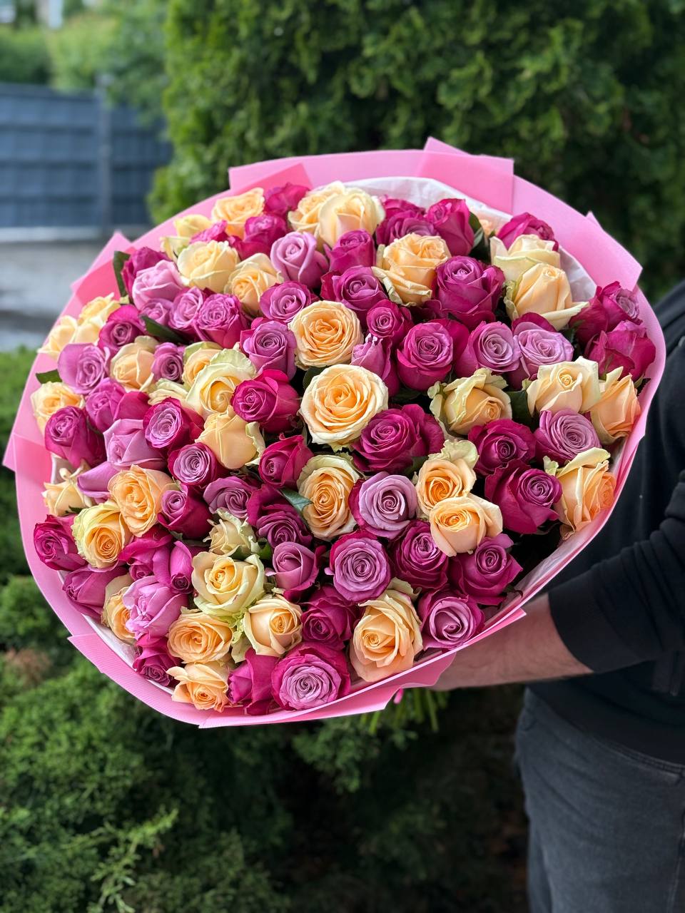 101 Rosen Prince-Persia und Peach Avalanche
