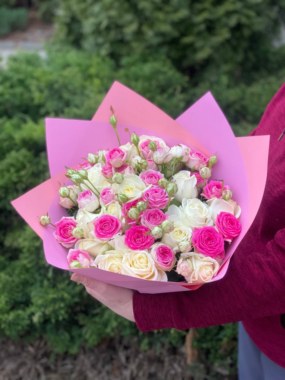 39 Rosen Avalanche und Gelato