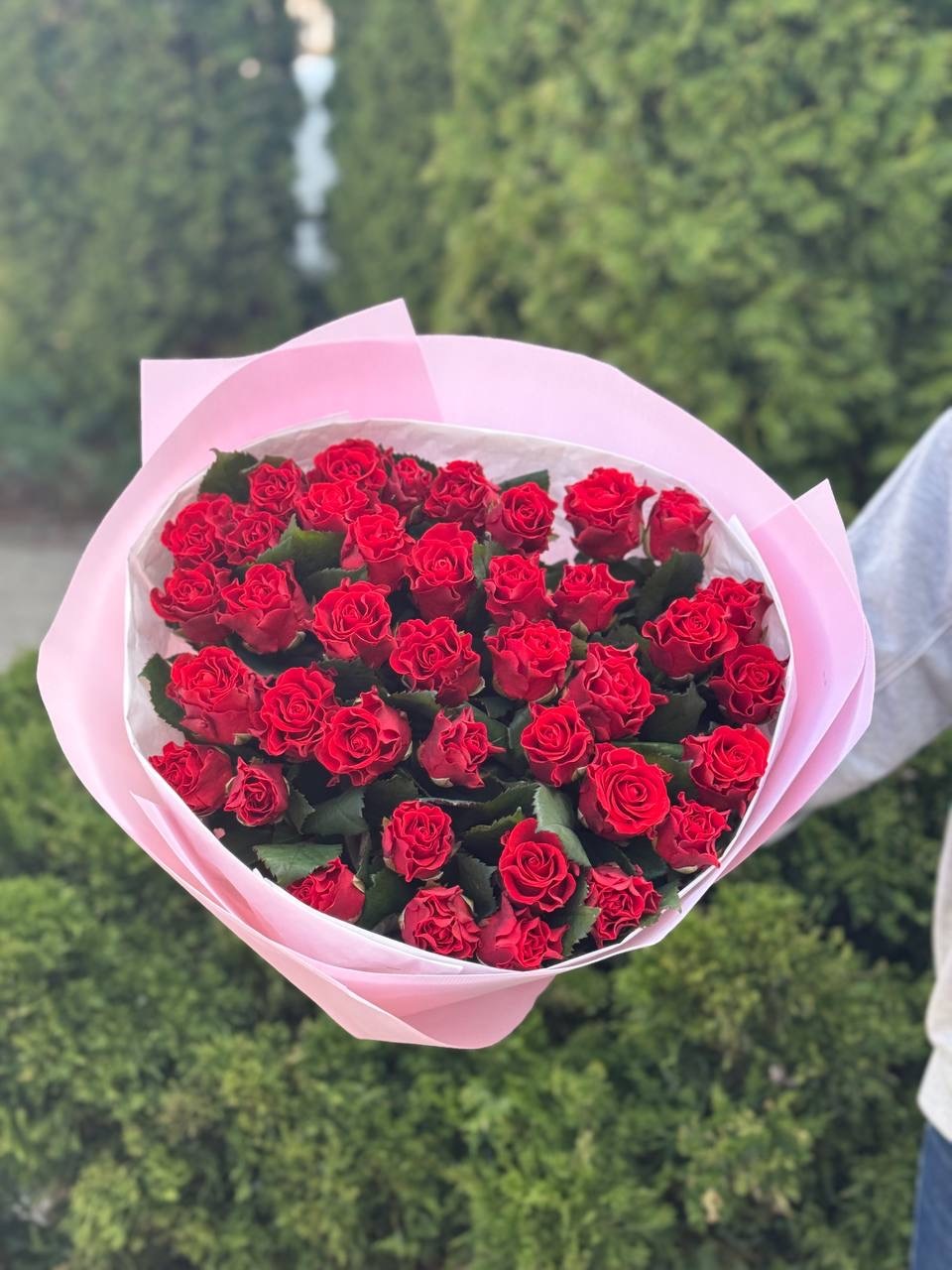 39 Rosen El Toro