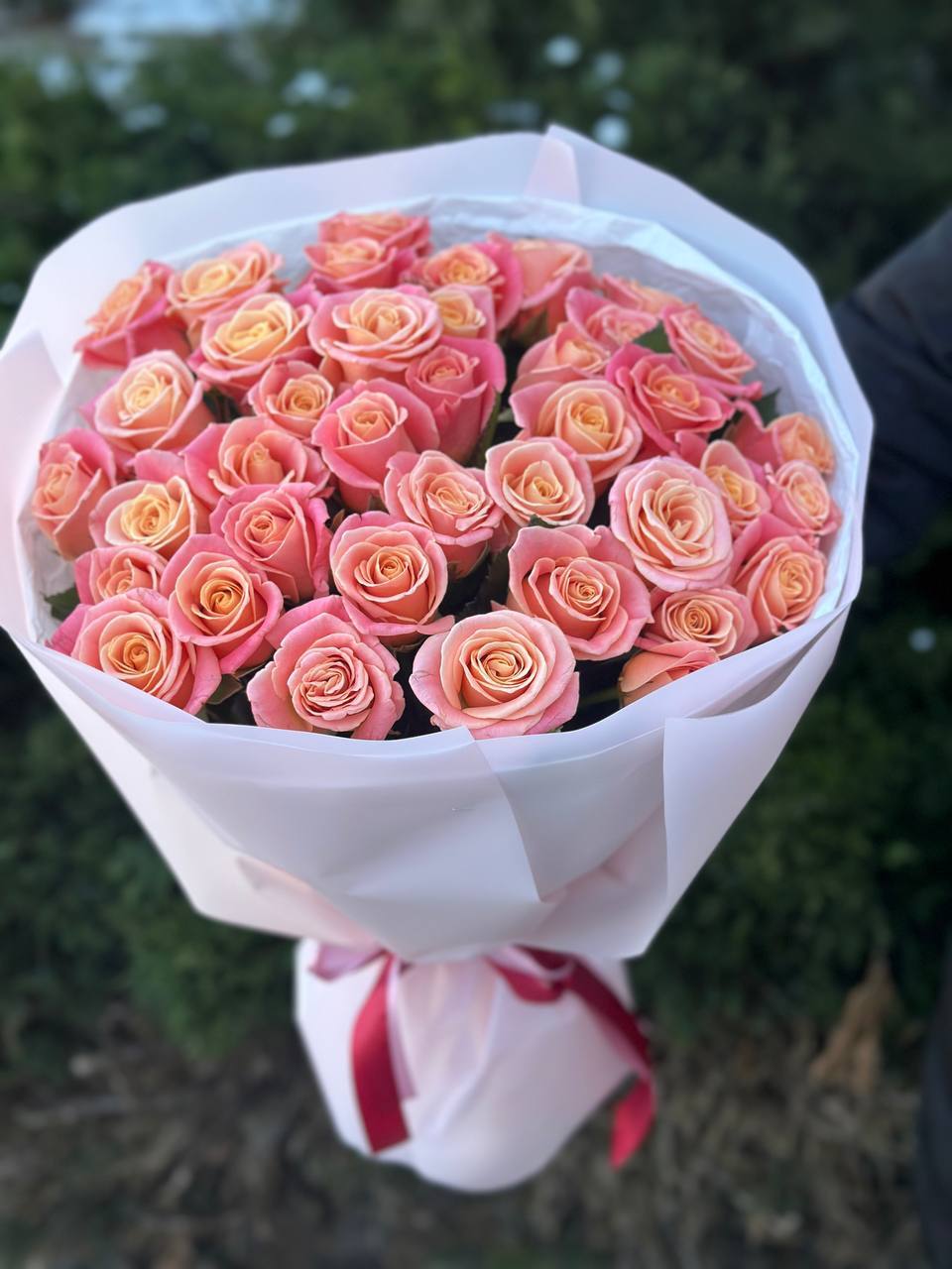39 Rosen Miss Piggy