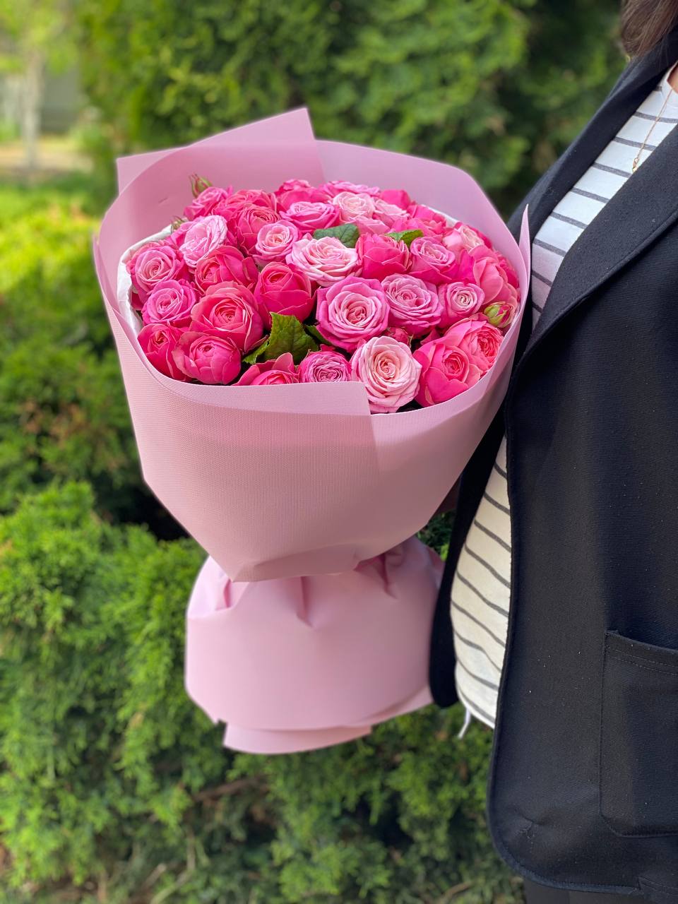 39 pfingstrosenartige Rosen Light und Lady Bombastic