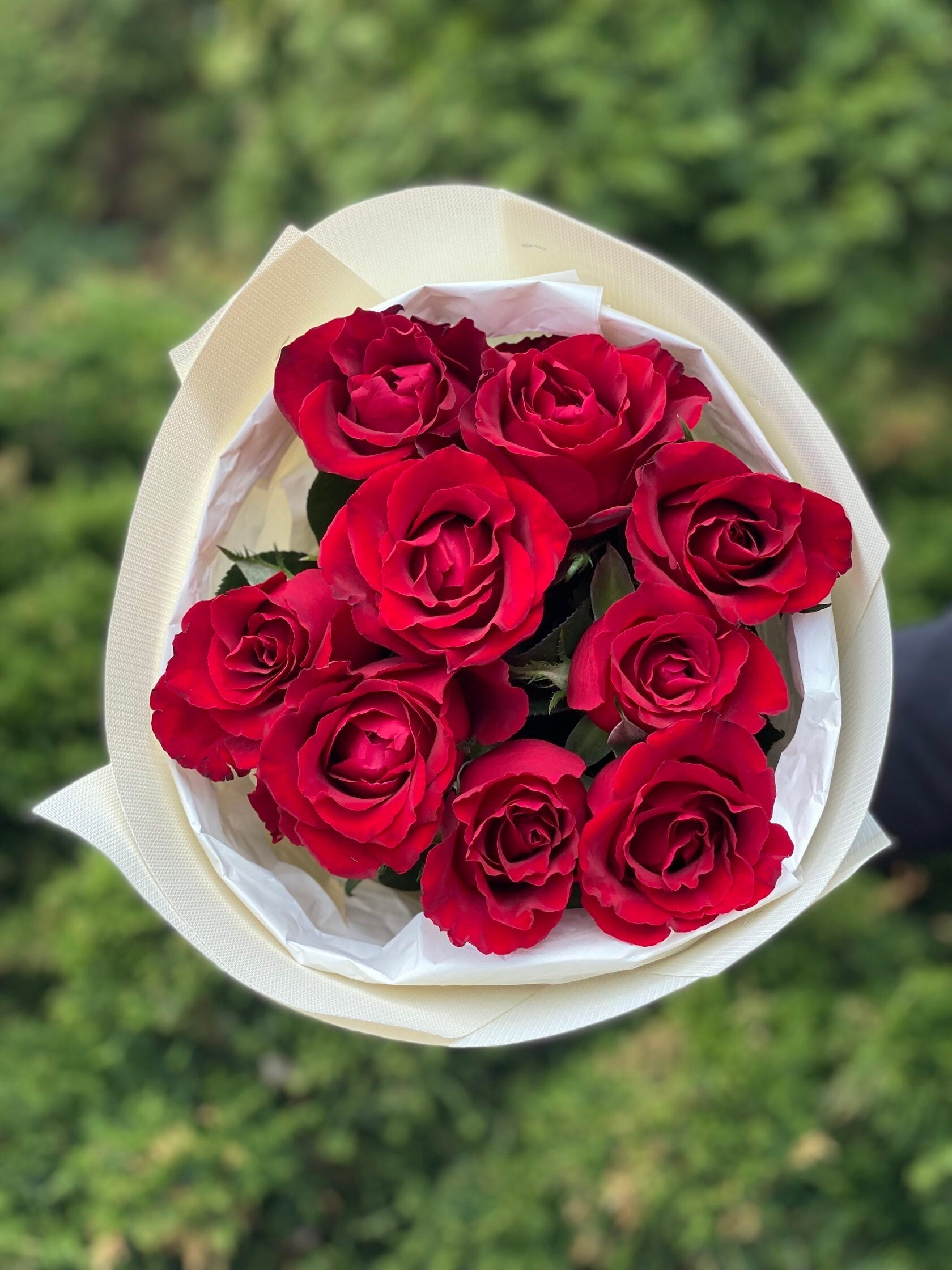 9 Stiele Rosen rot (50 cm)