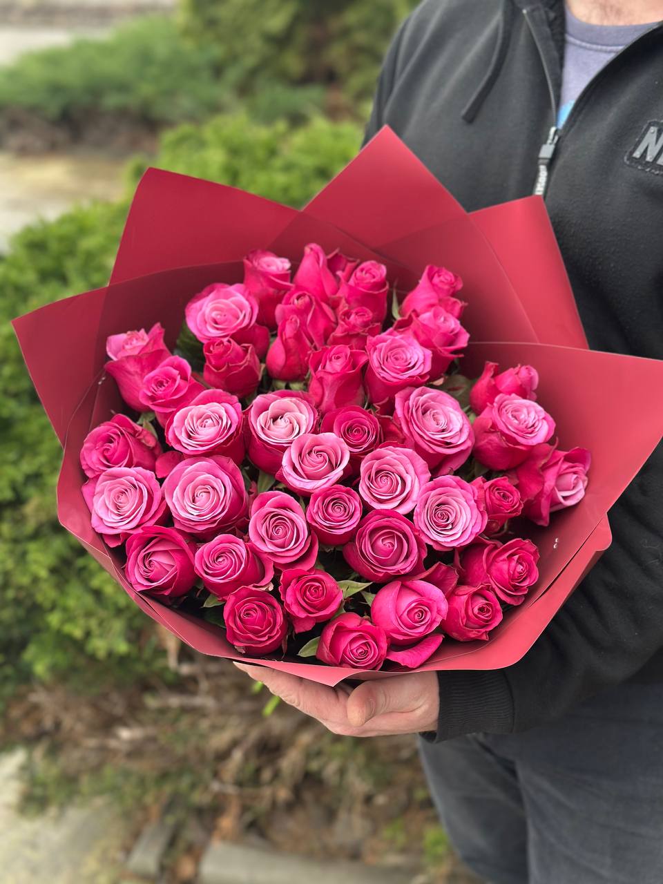 39 Rosen Prince Persia