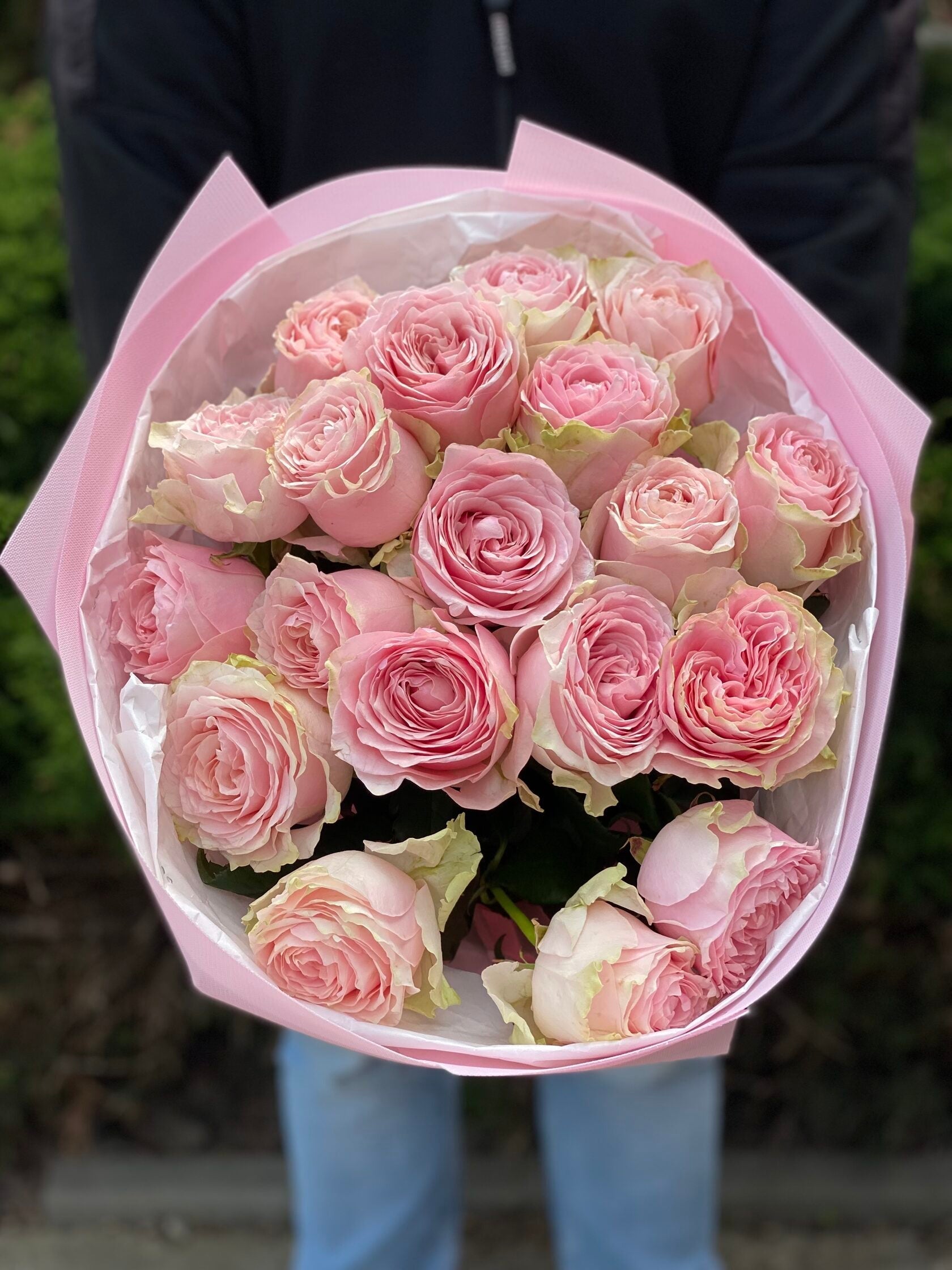 19 pfingstrosenartige Rosen Country Spirit (rosa)