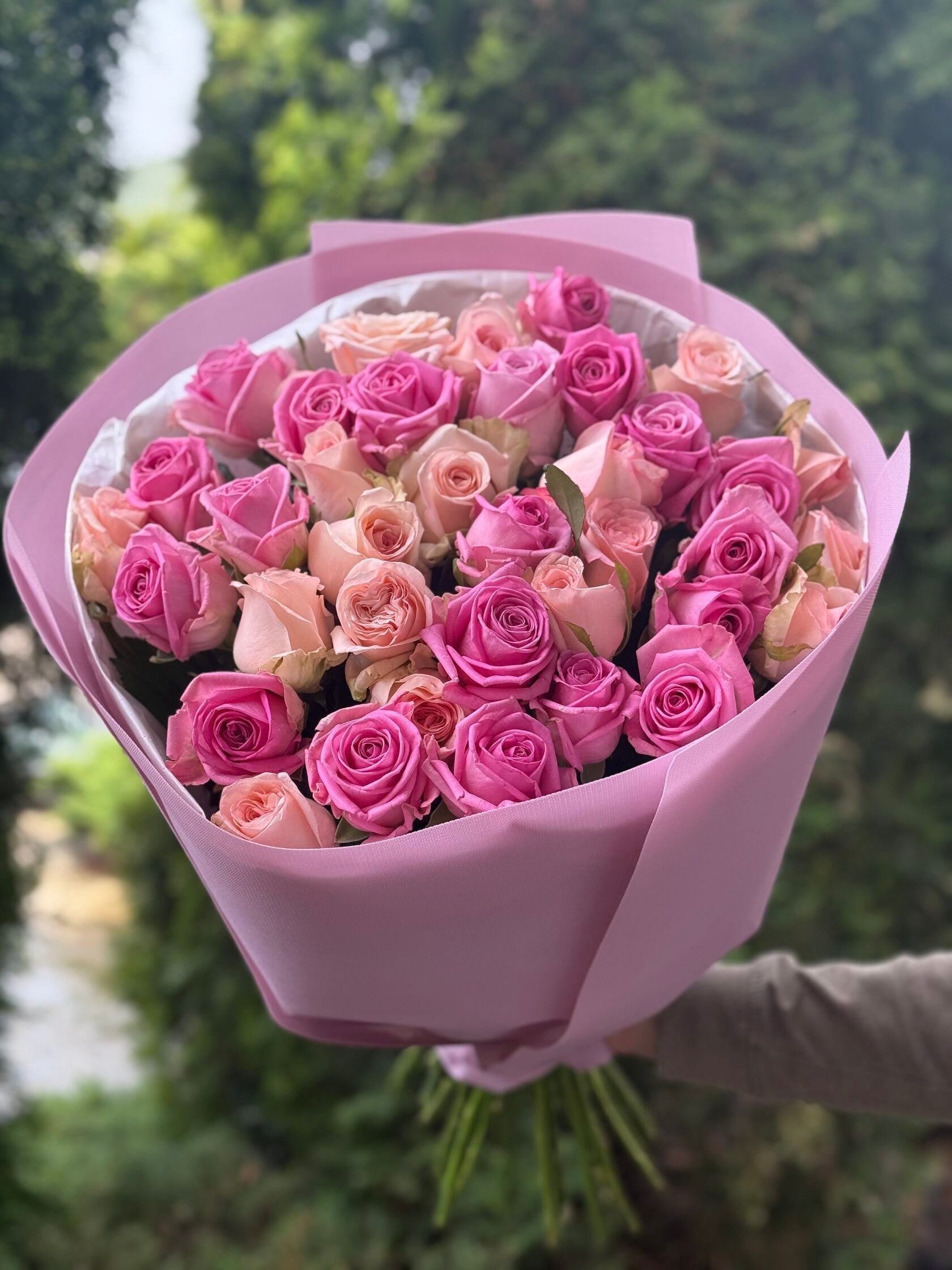39 Rosen Aqua und Kimberly