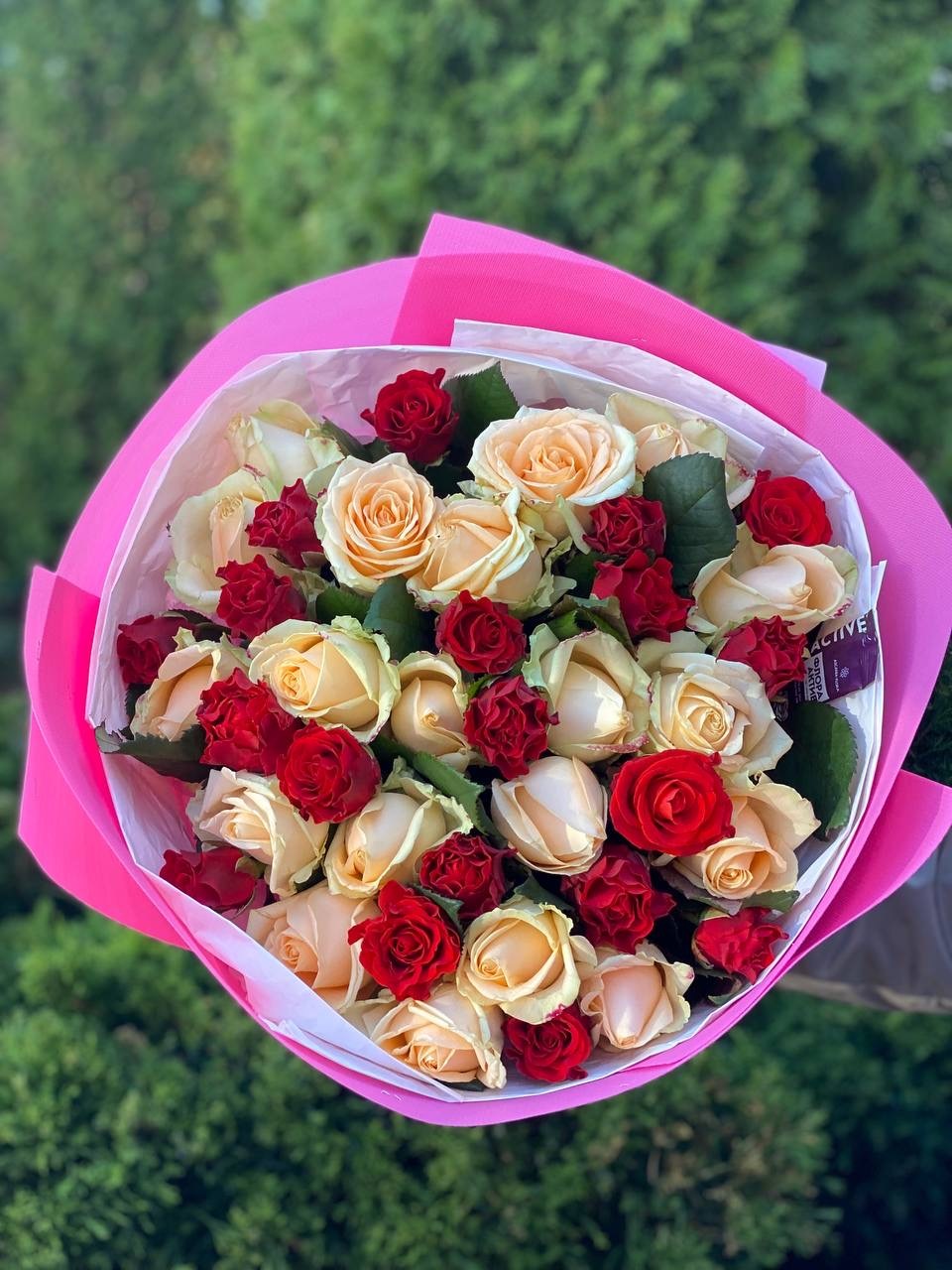 39 Rosen El Toro und Peach Avalanche