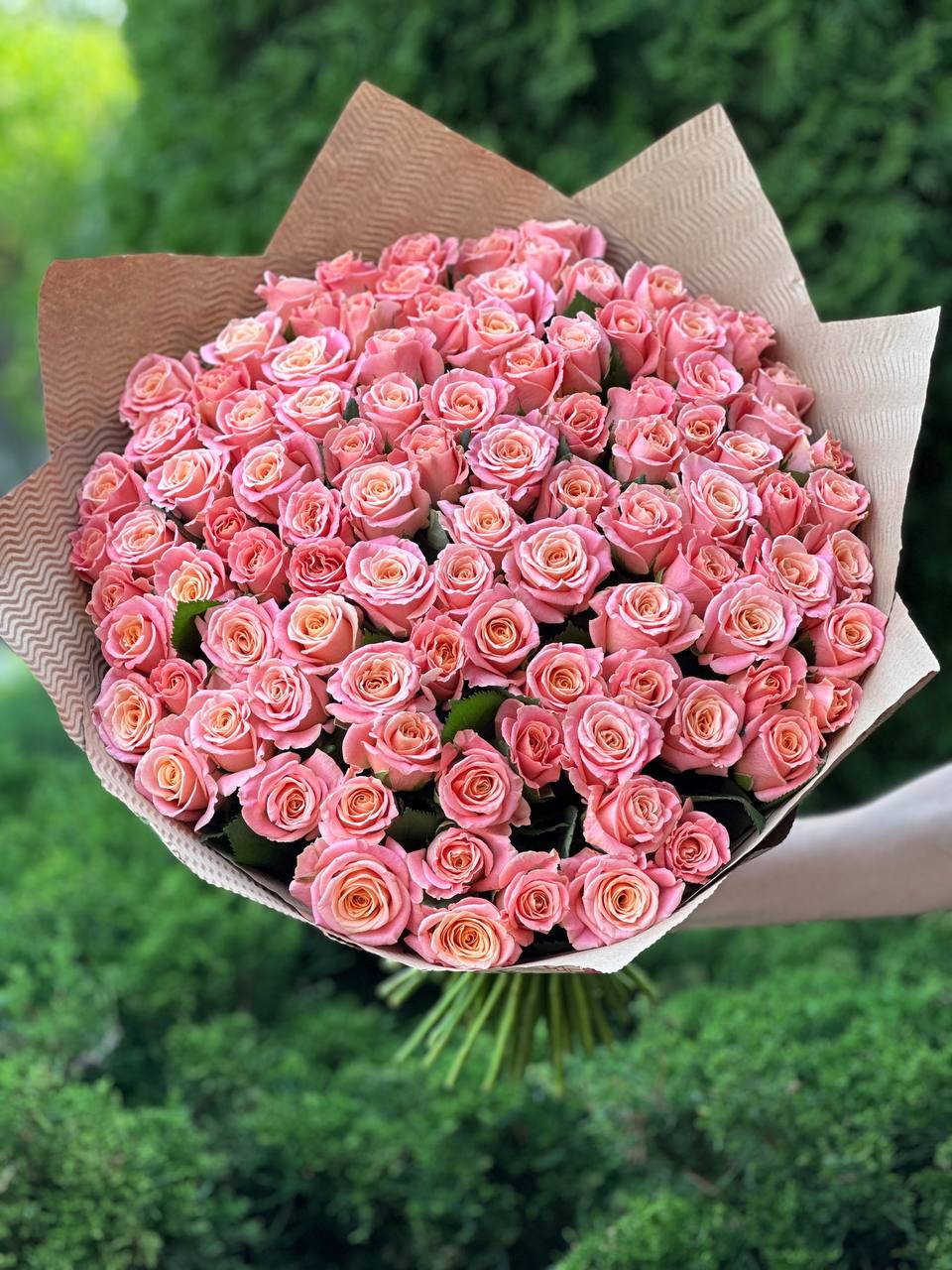 101 Rosen Miss Piggy