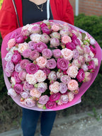 101 pfingstrosenartige Rosen Majestic, Bombastic und Lavenderfarben