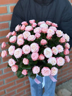 HutboxXL 51 Rosen (Sorte Bombastic)