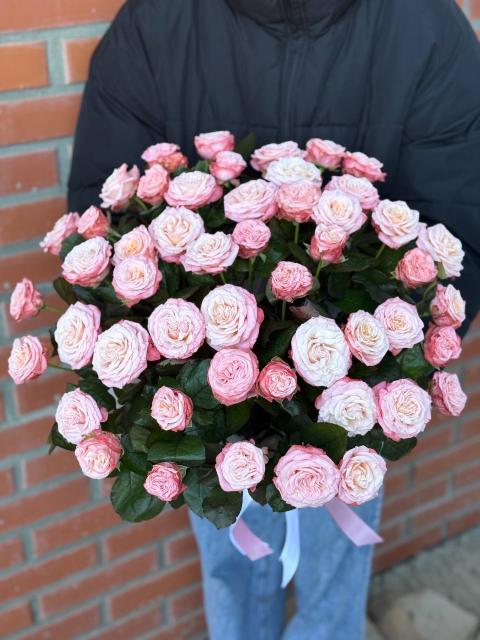 HutboxXL 51 Rosen (Sorte Bombastic)