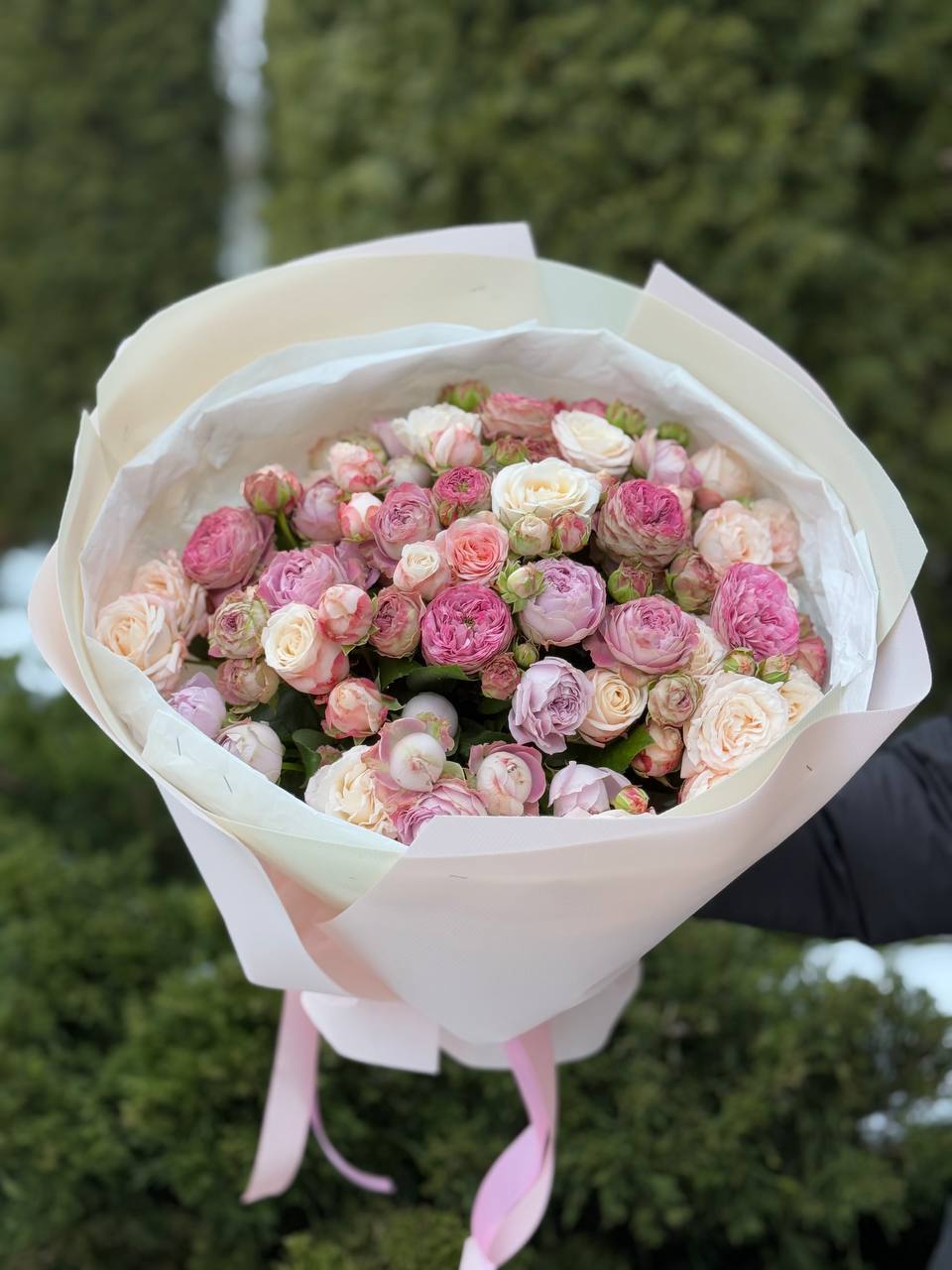 39 Rosen Bombastic und Lavender
