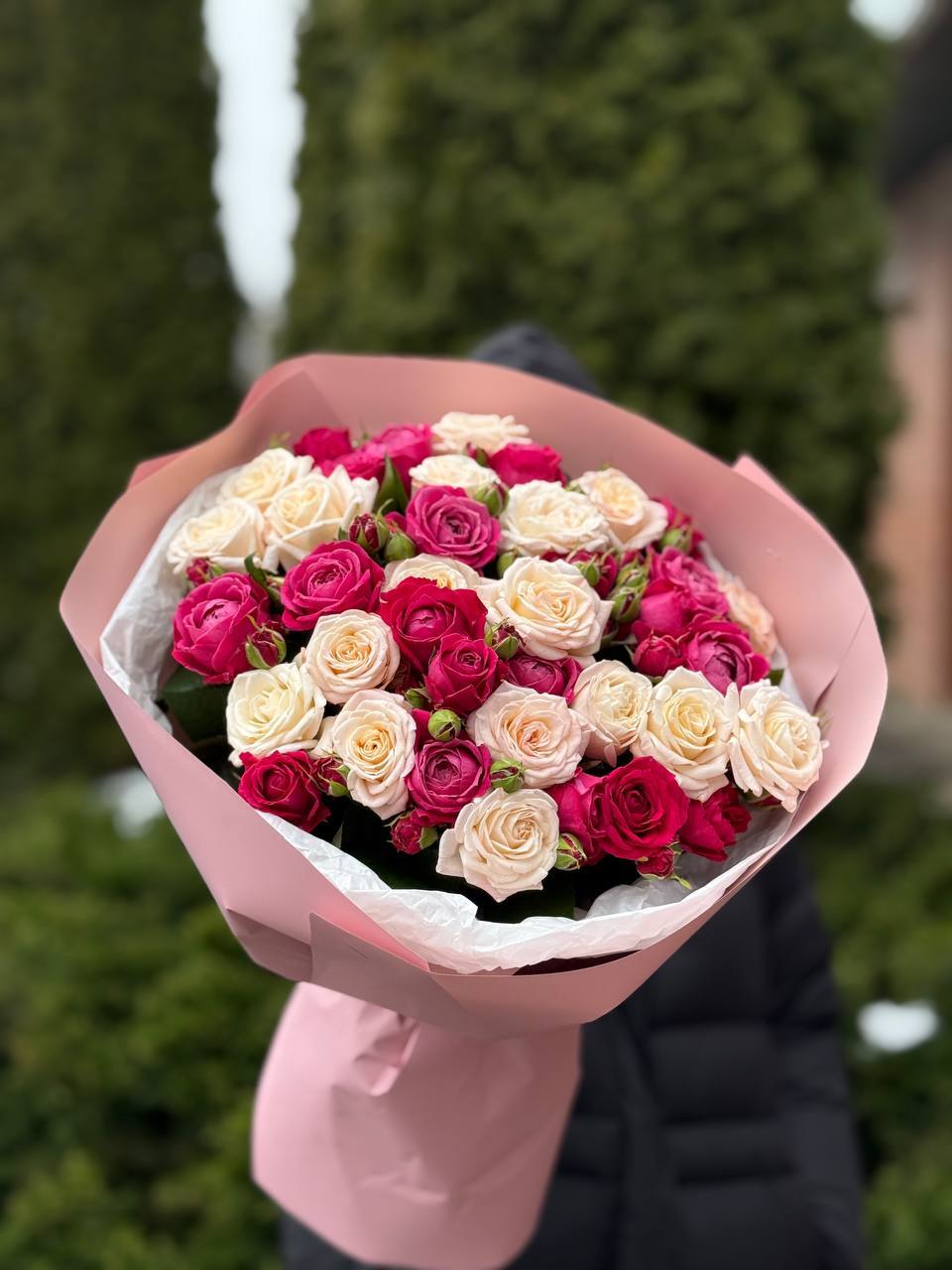 39 Rosen-Bombastic und Majestic