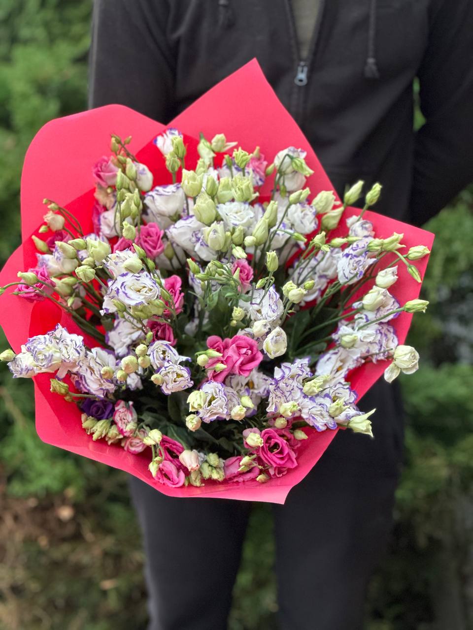 29 Stiele Eustoma (70 cm)