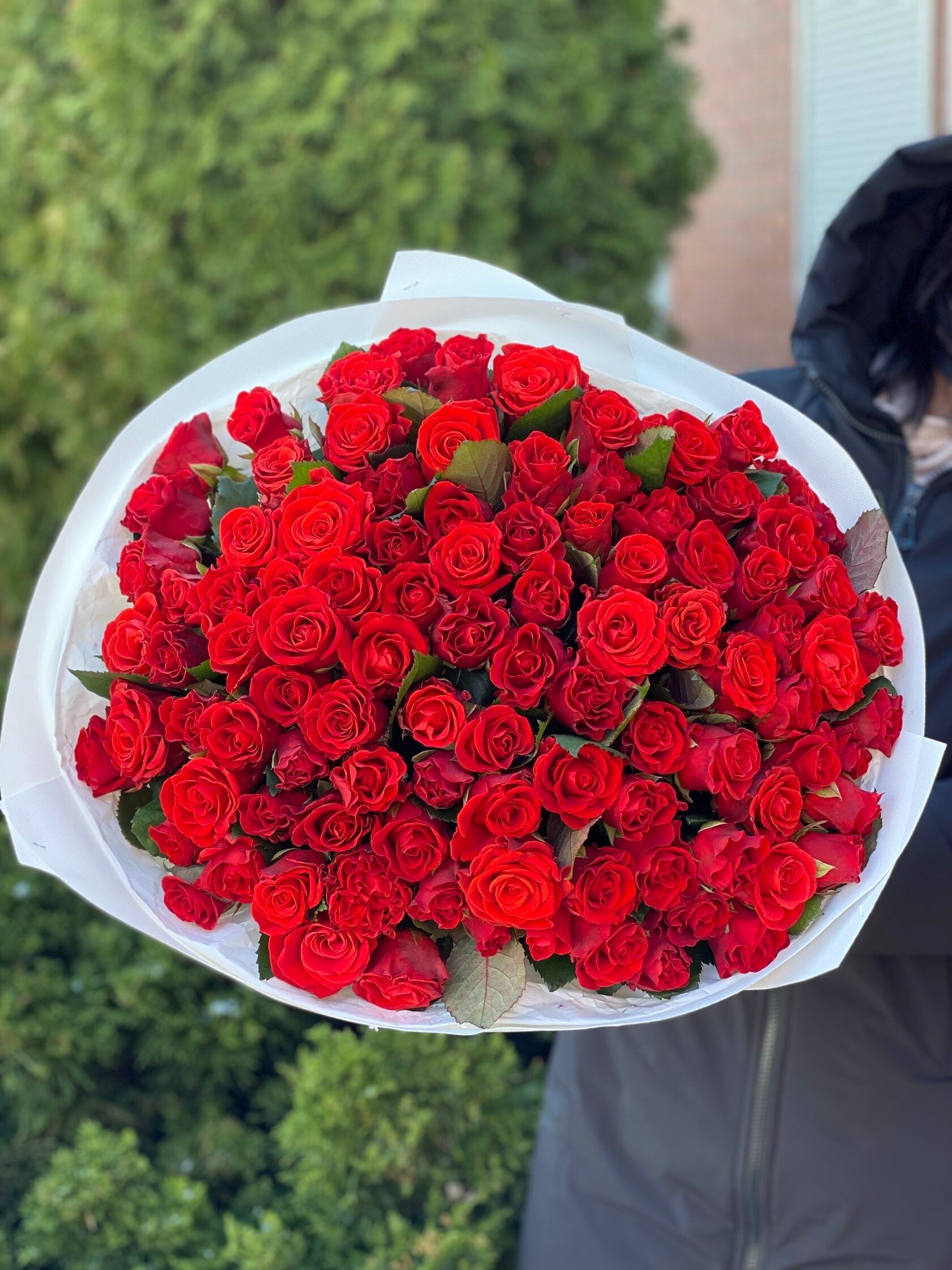 101 Rosen El Toro