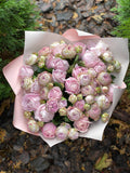 39 pfingstrosenartige Rosen Lavender