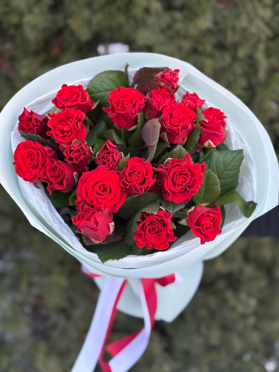 19 Rosen El Toro