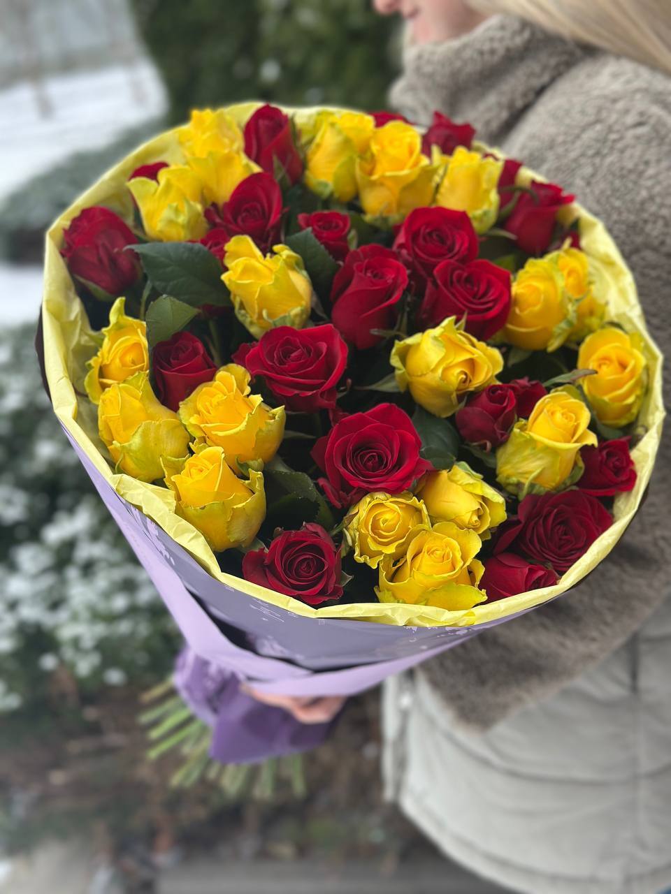 39 Rosen Penny Lane und Grand Prix