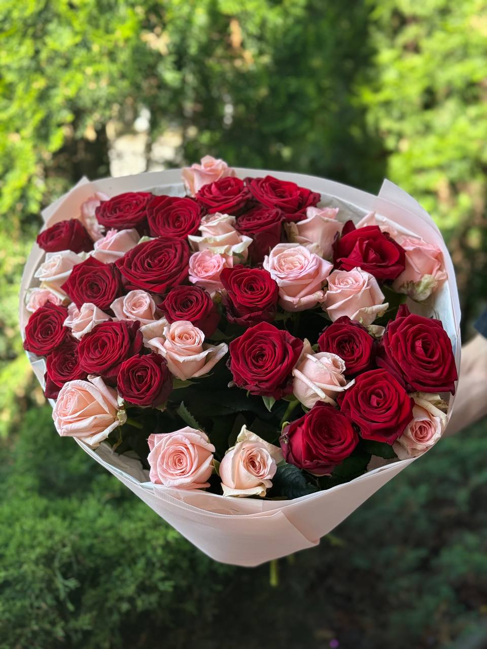 39 Rosen Grand Prix und Kimberly