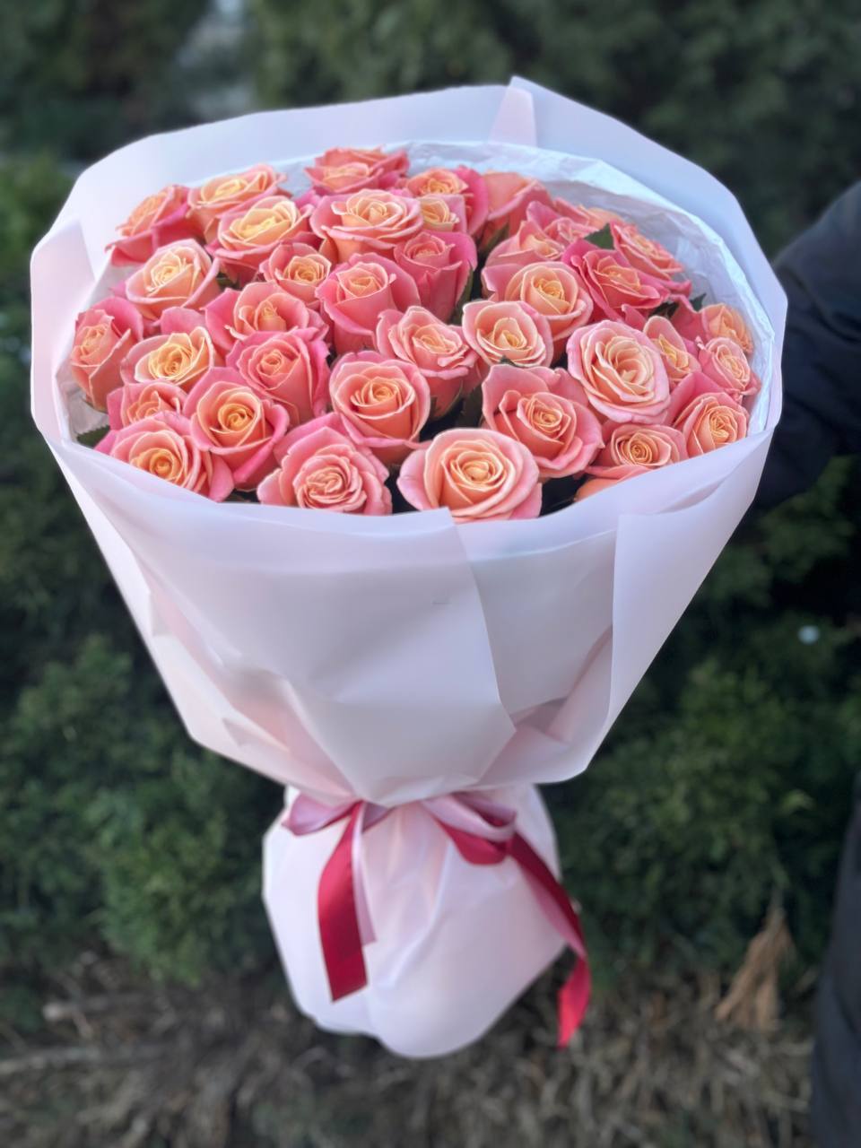 39 Rosen Miss Piggy
