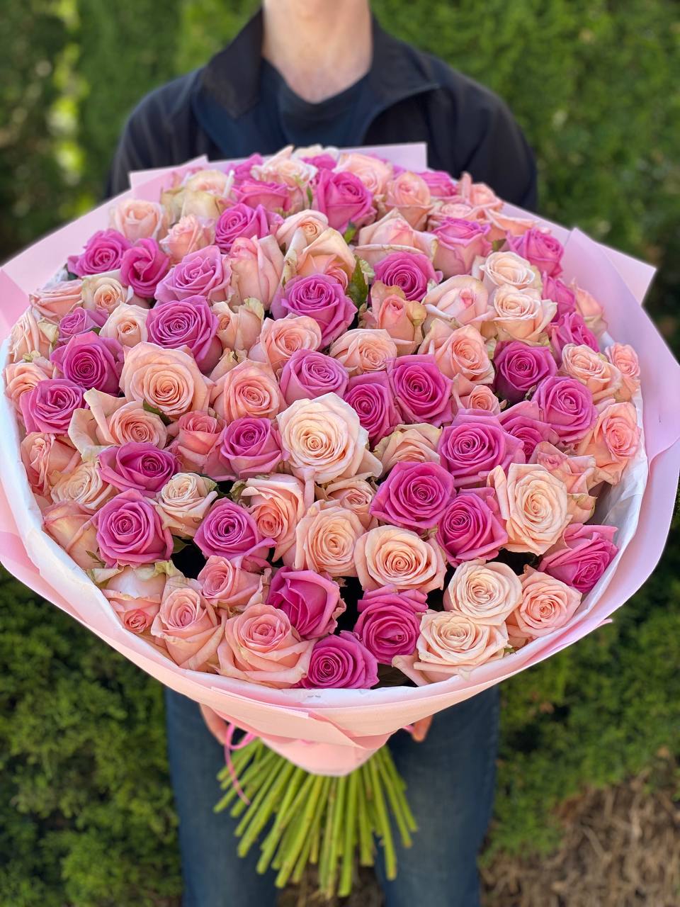 101 Rosen Kimberly und Aqua