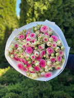 39 pfingstrosenartige Rosen Gelato