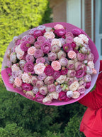 101 pfingstrosenartige Rosen Majestic, Bombastic und Lavenderfarben