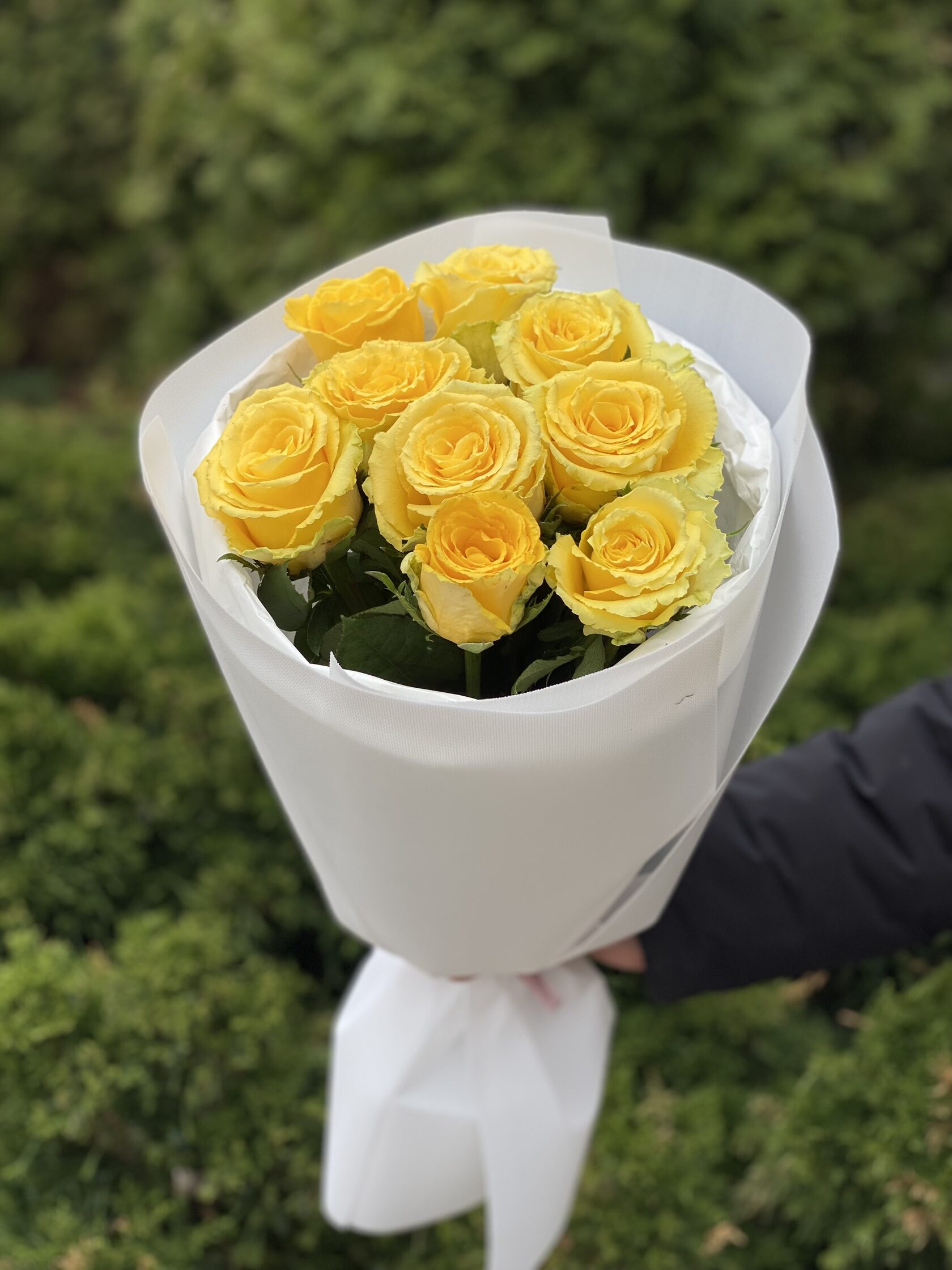 9 Stiele Rosen gelb (50 cm)