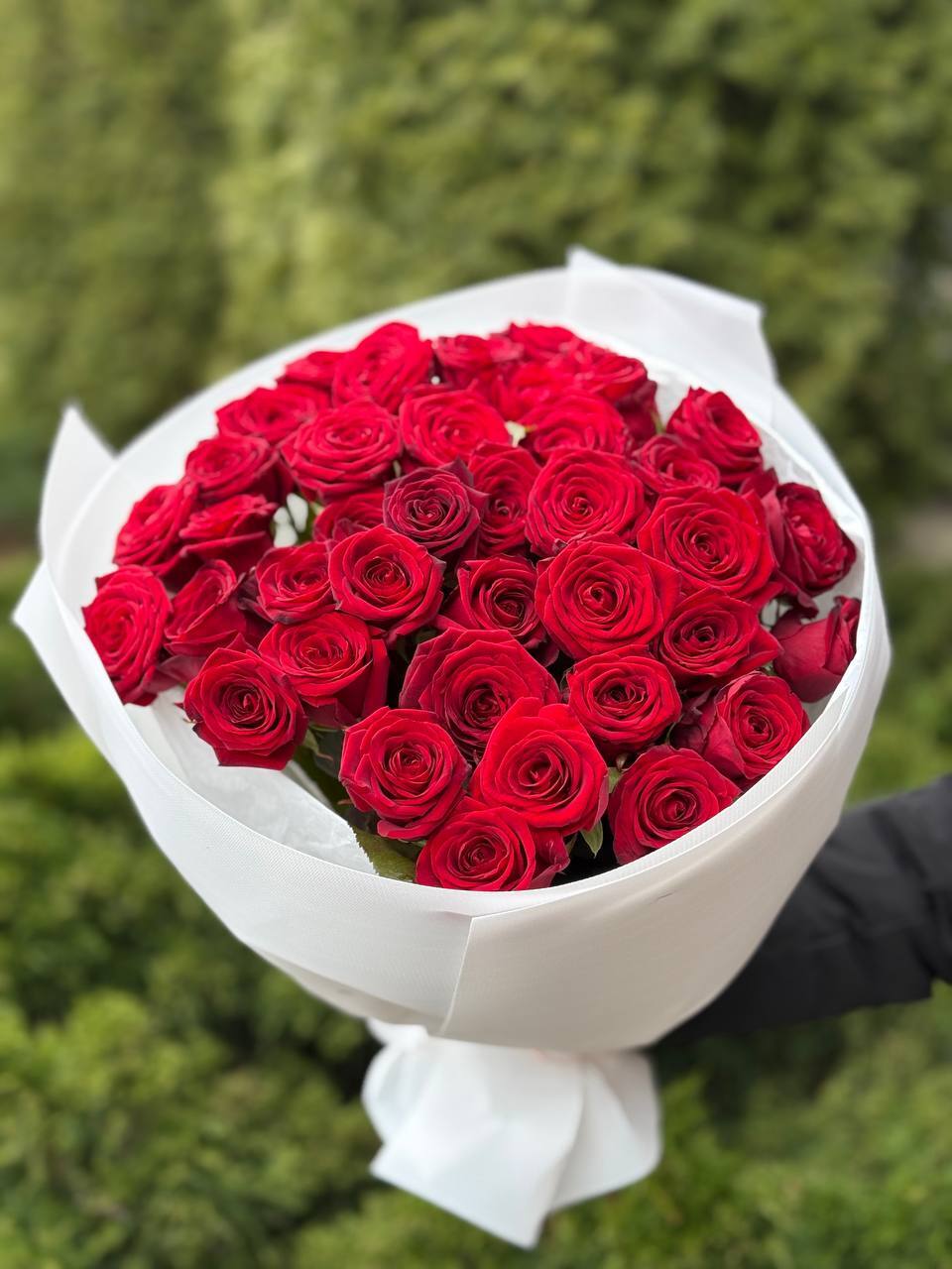 39 Rosen Red Naomi