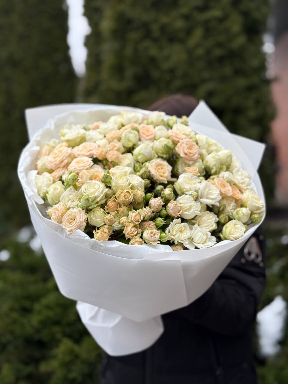 39 Rosen Miss Bombastic und Tanya